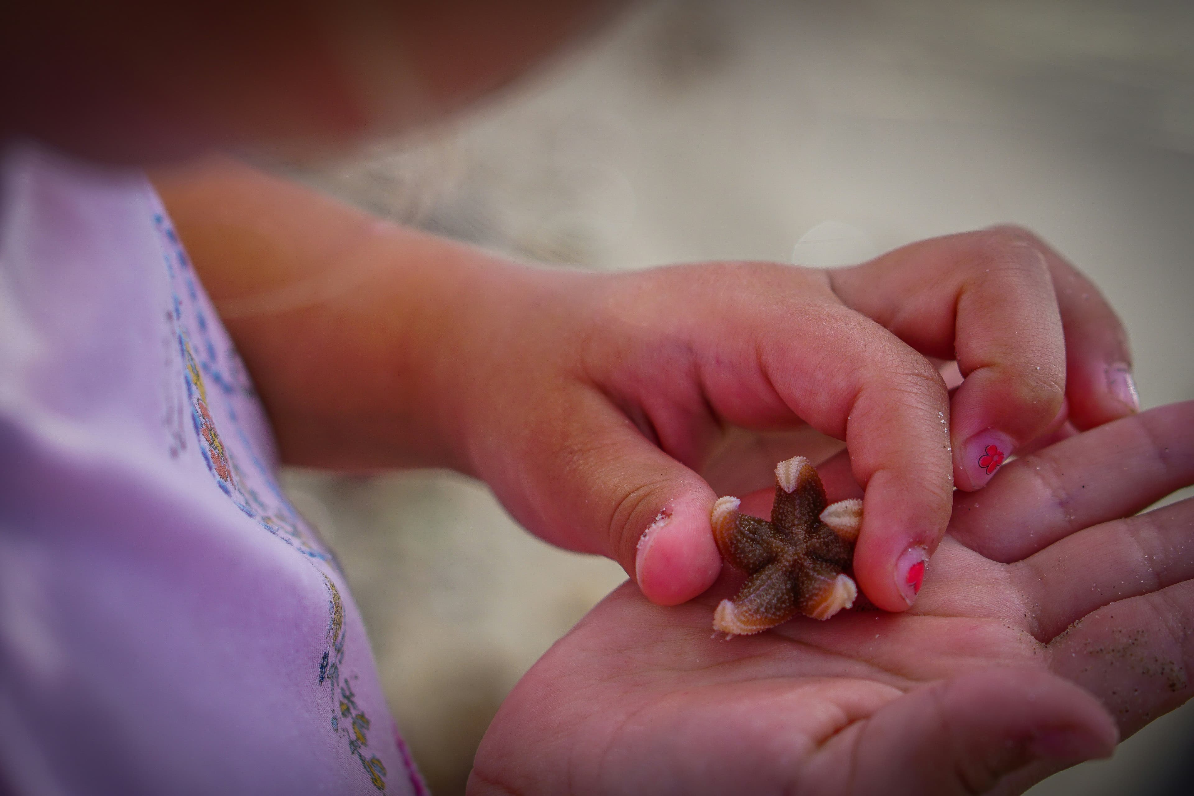Hands-on Learning