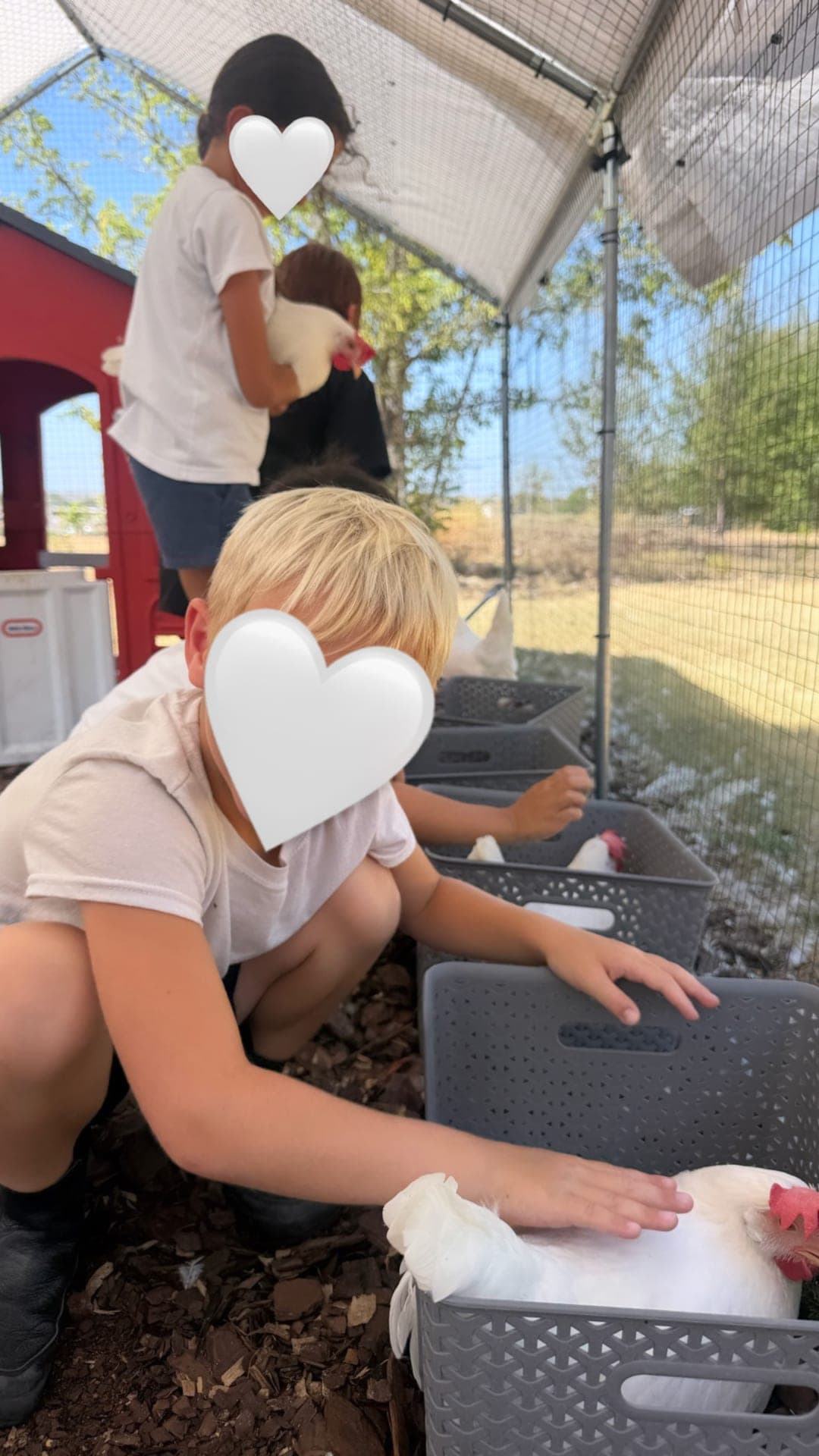 Week 5 — Eggs, Ants & Desert Discovery