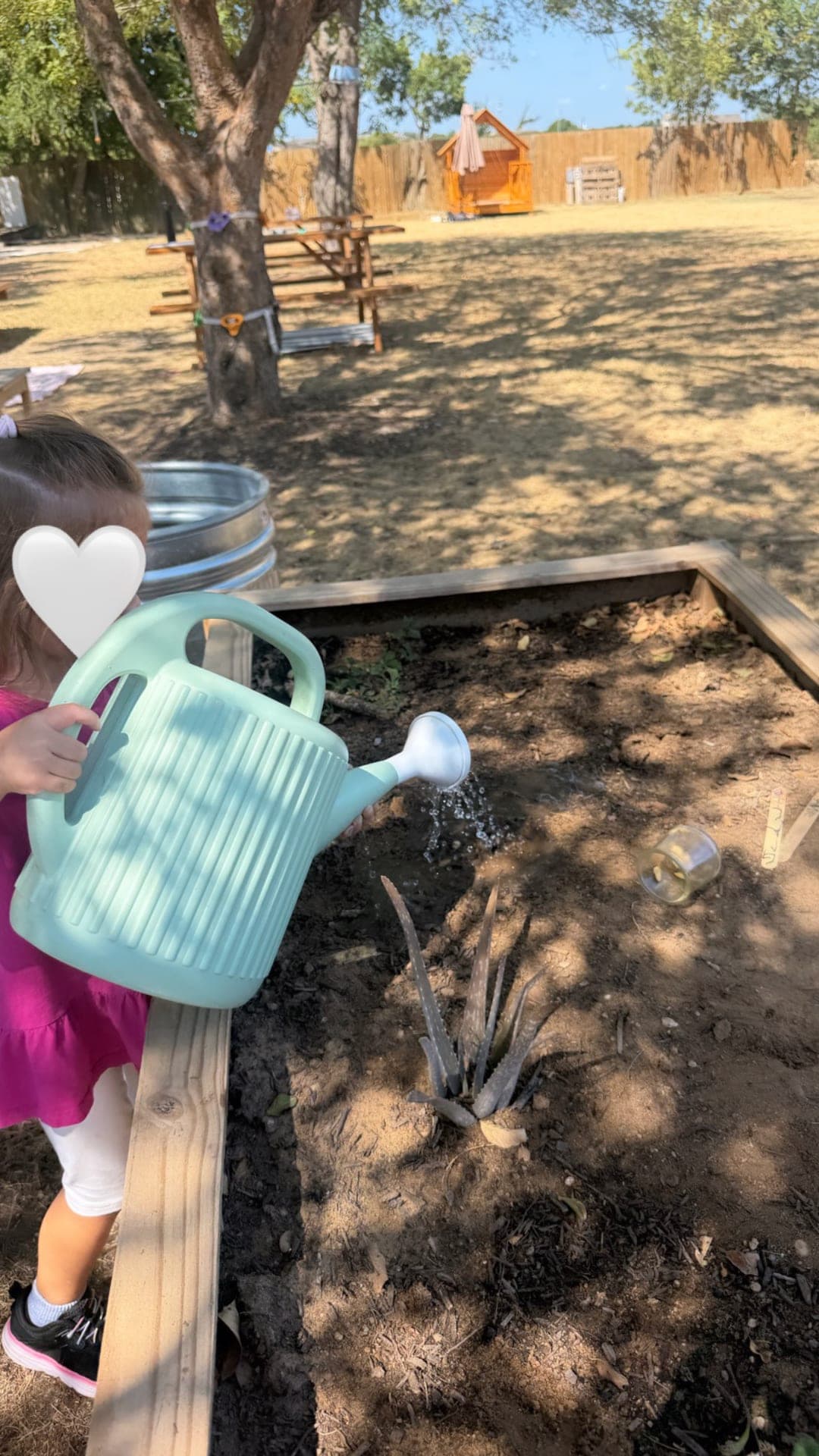 Outdoor learning and play in the sunshine