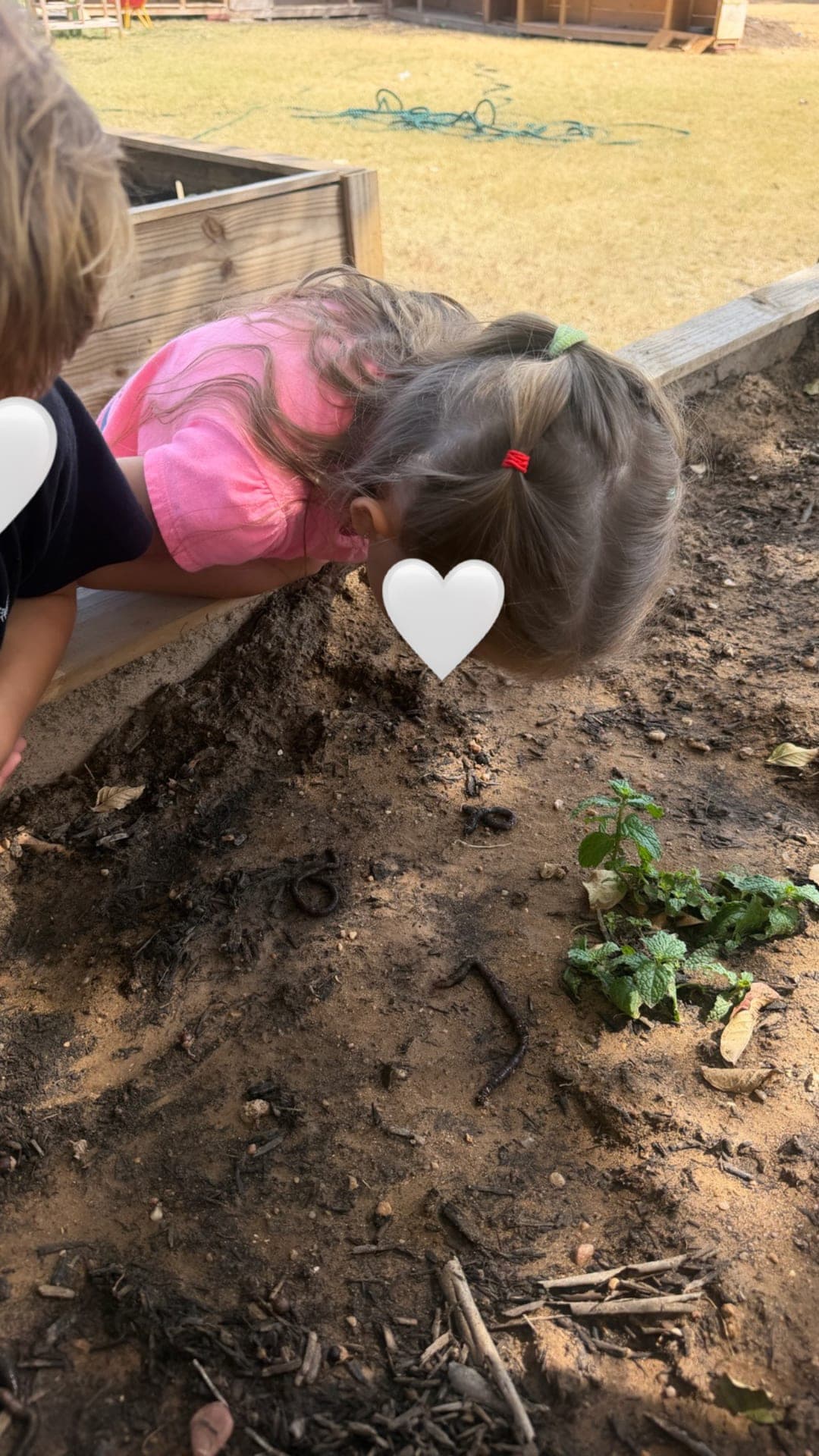 Field Friday fun — dragons, slime, and dragon eggs