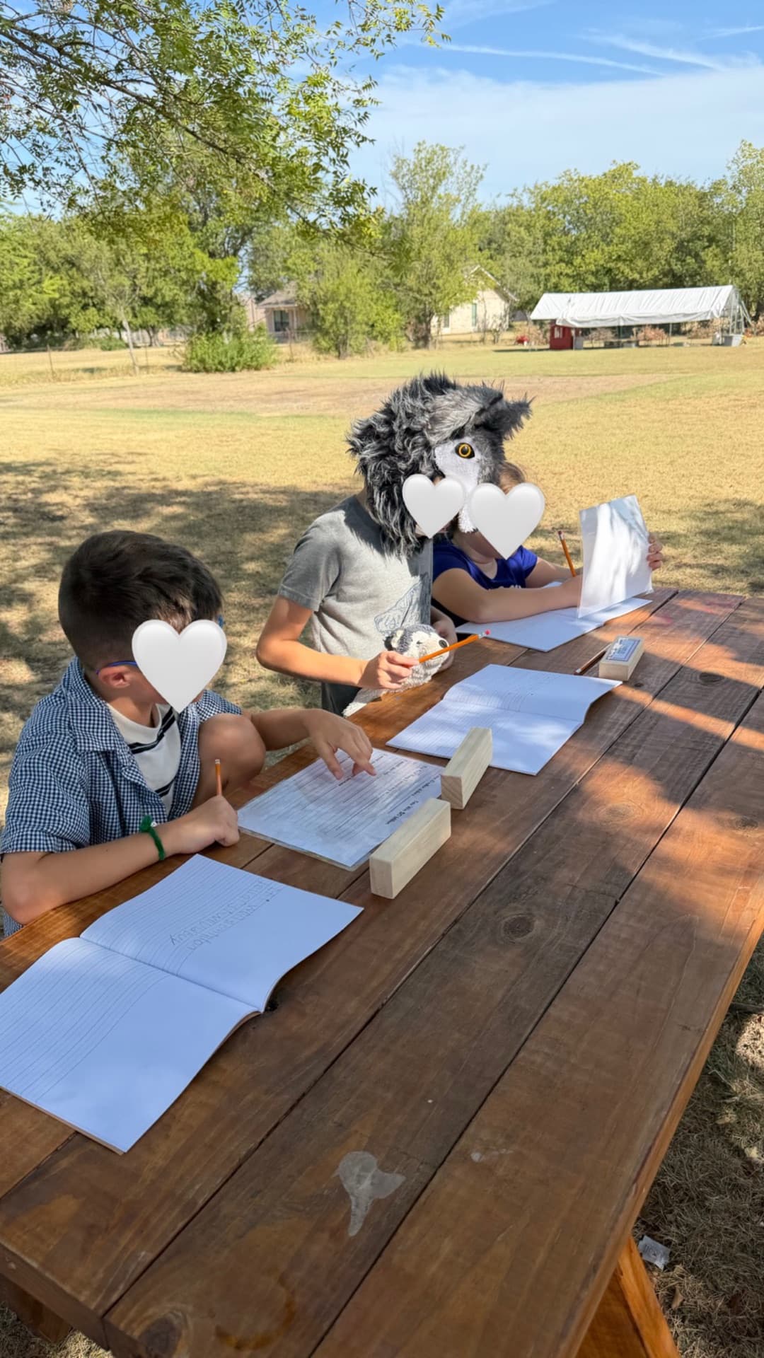 Writing outdoors at the picnic table