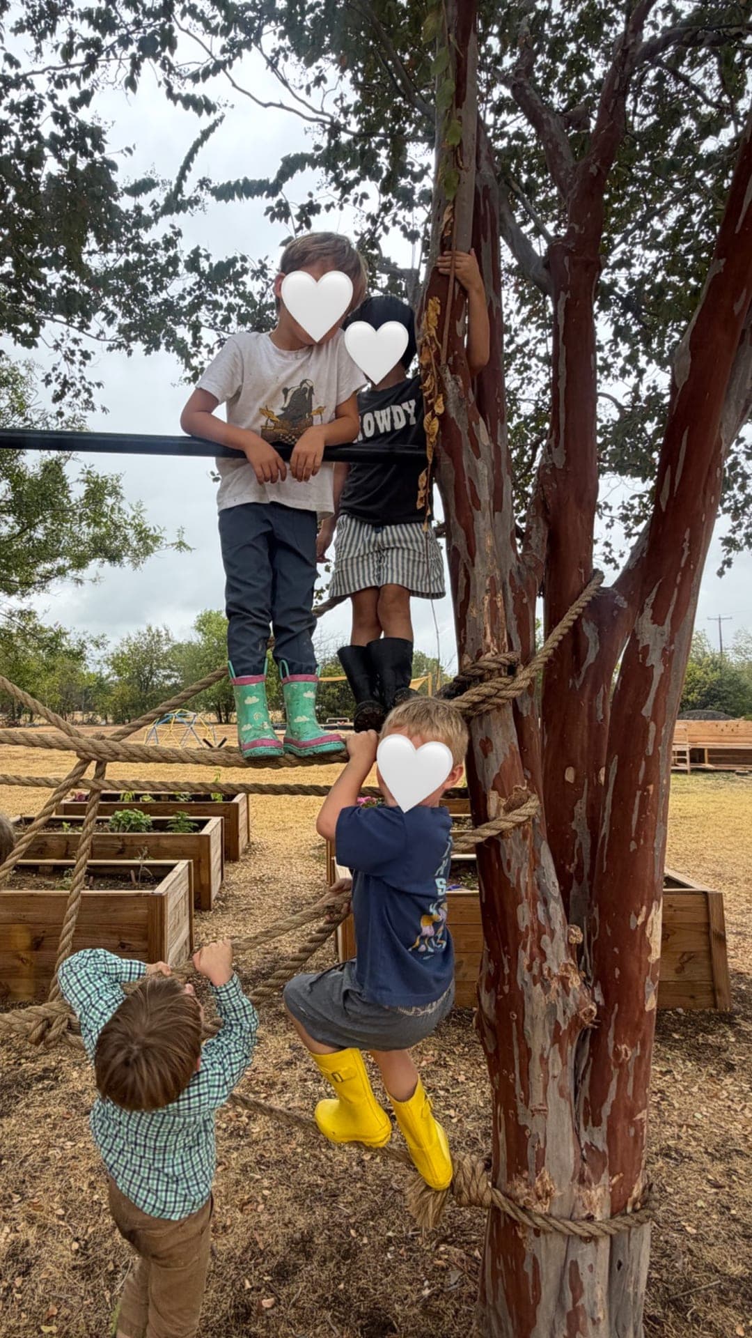 Outdoor movement — rope climbing on the campus trees