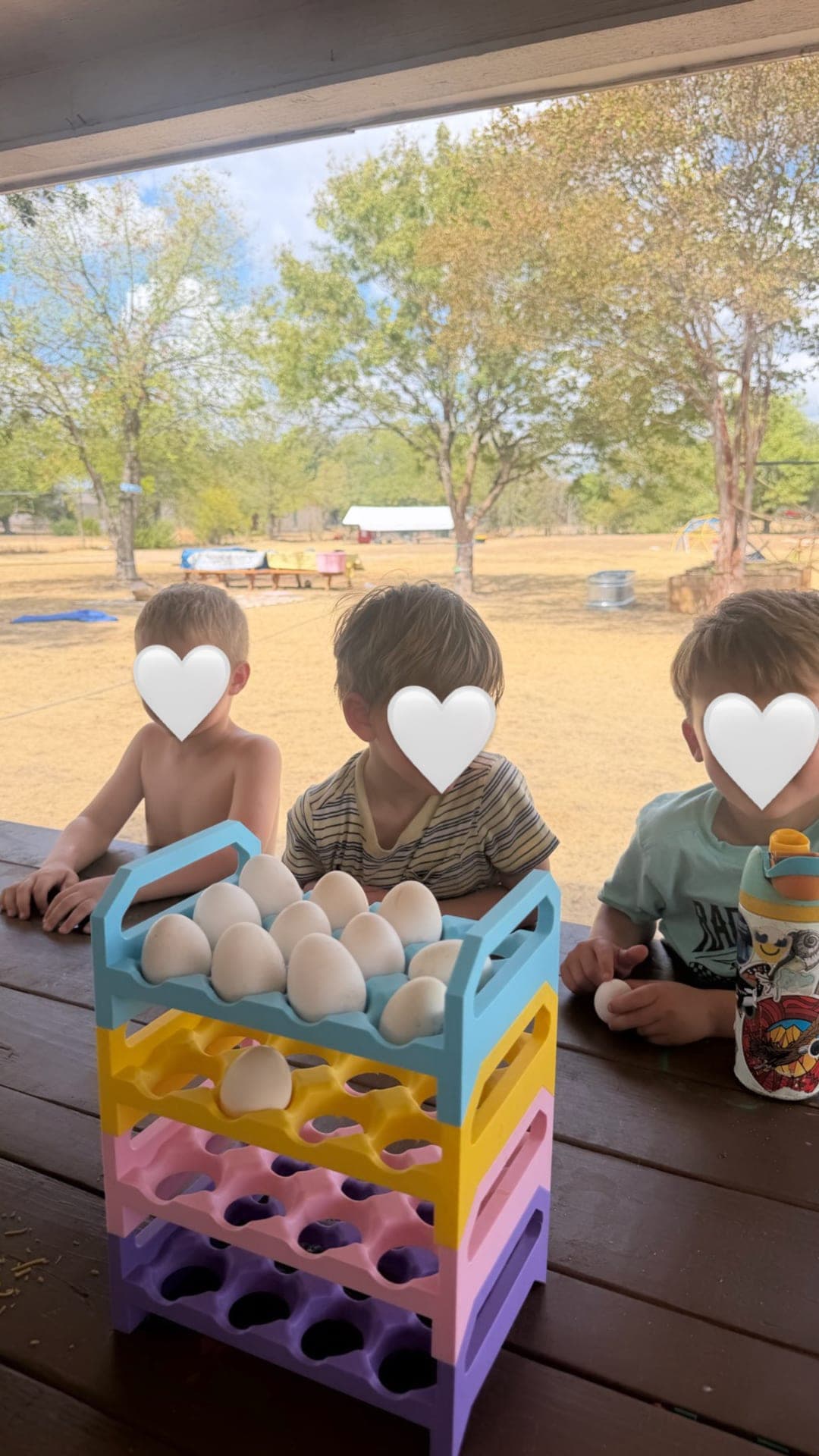 Upper elementary — gathering fresh Sage Field eggs for cooking