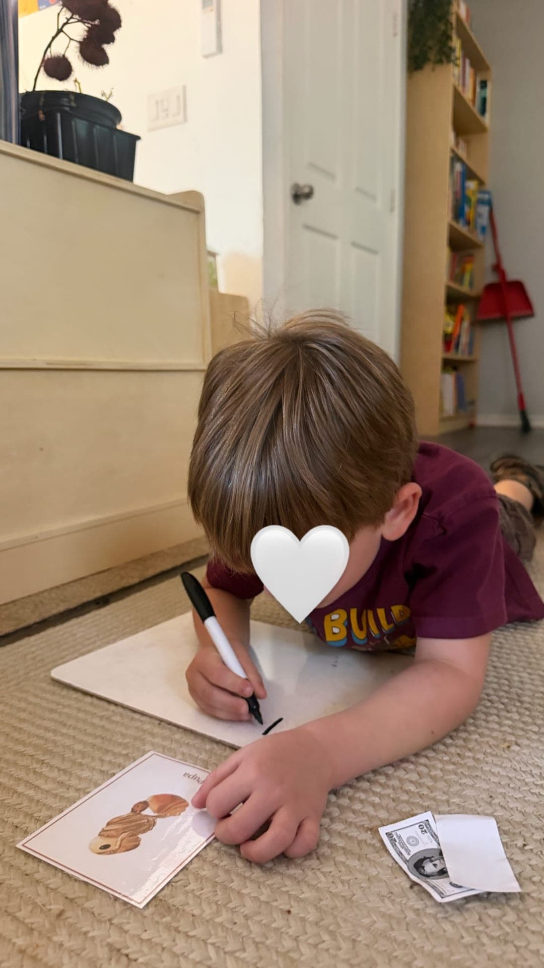 Primary — marketplace writing with life-cycle vocabulary cards