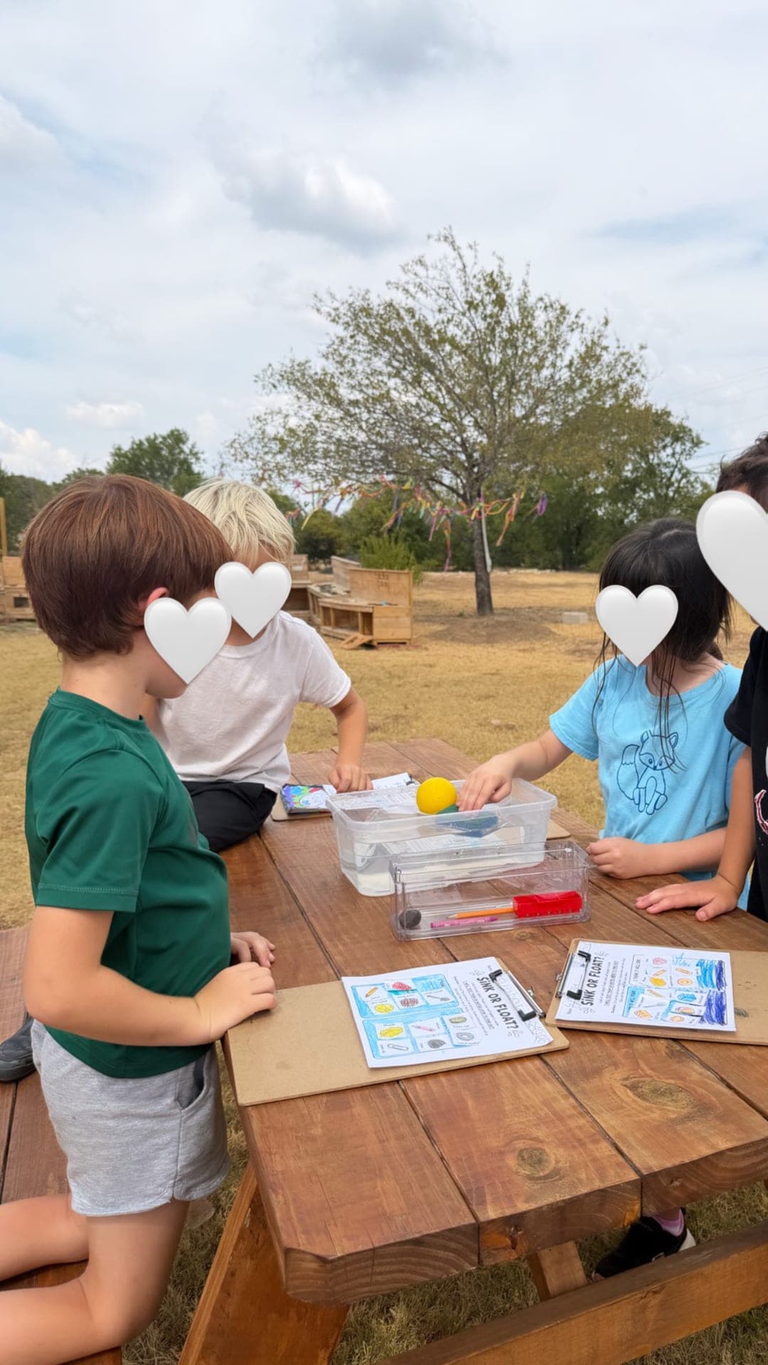 Lower elementary — sink-or-float science outdoors with hypothesis charts
