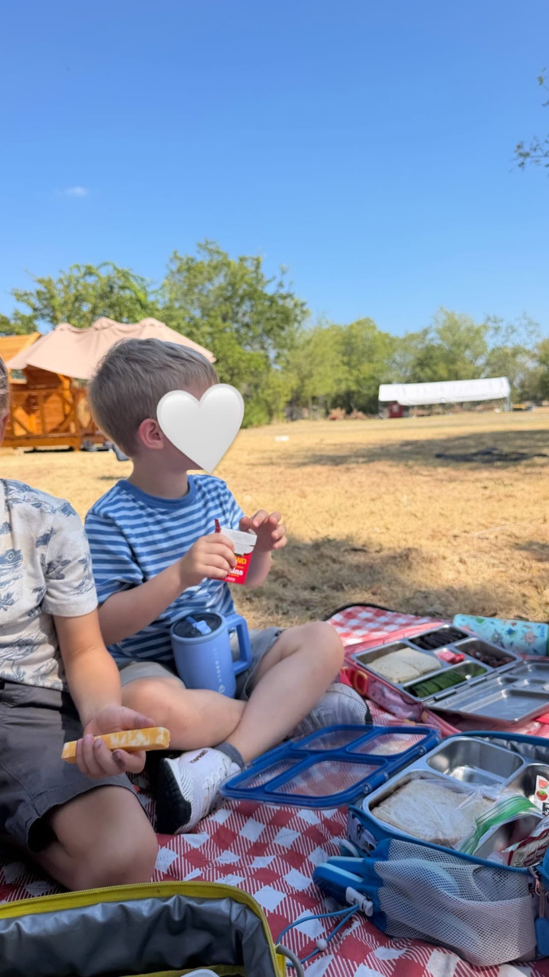 Outdoor picnic lunch on the field with bento boxes