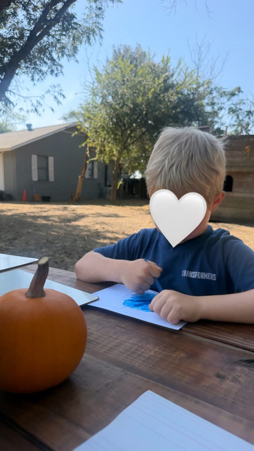 Outdoor coloring at the picnic table in the sunshine