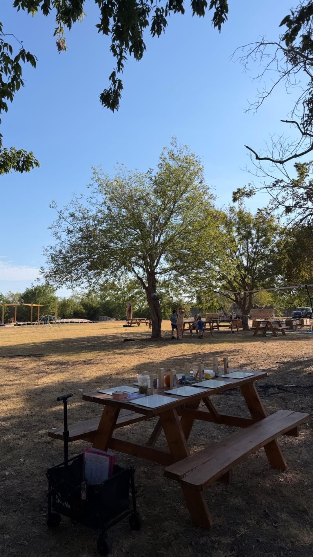 Outdoor learning stations set up under the trees