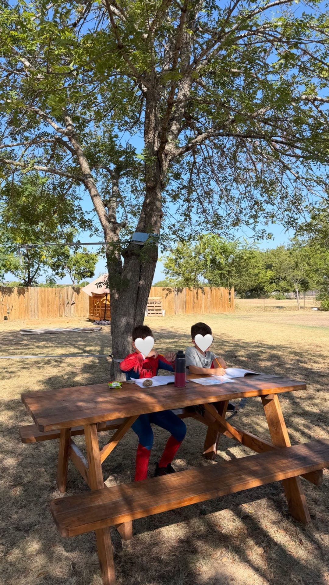Shaded outdoor writing under the big tree