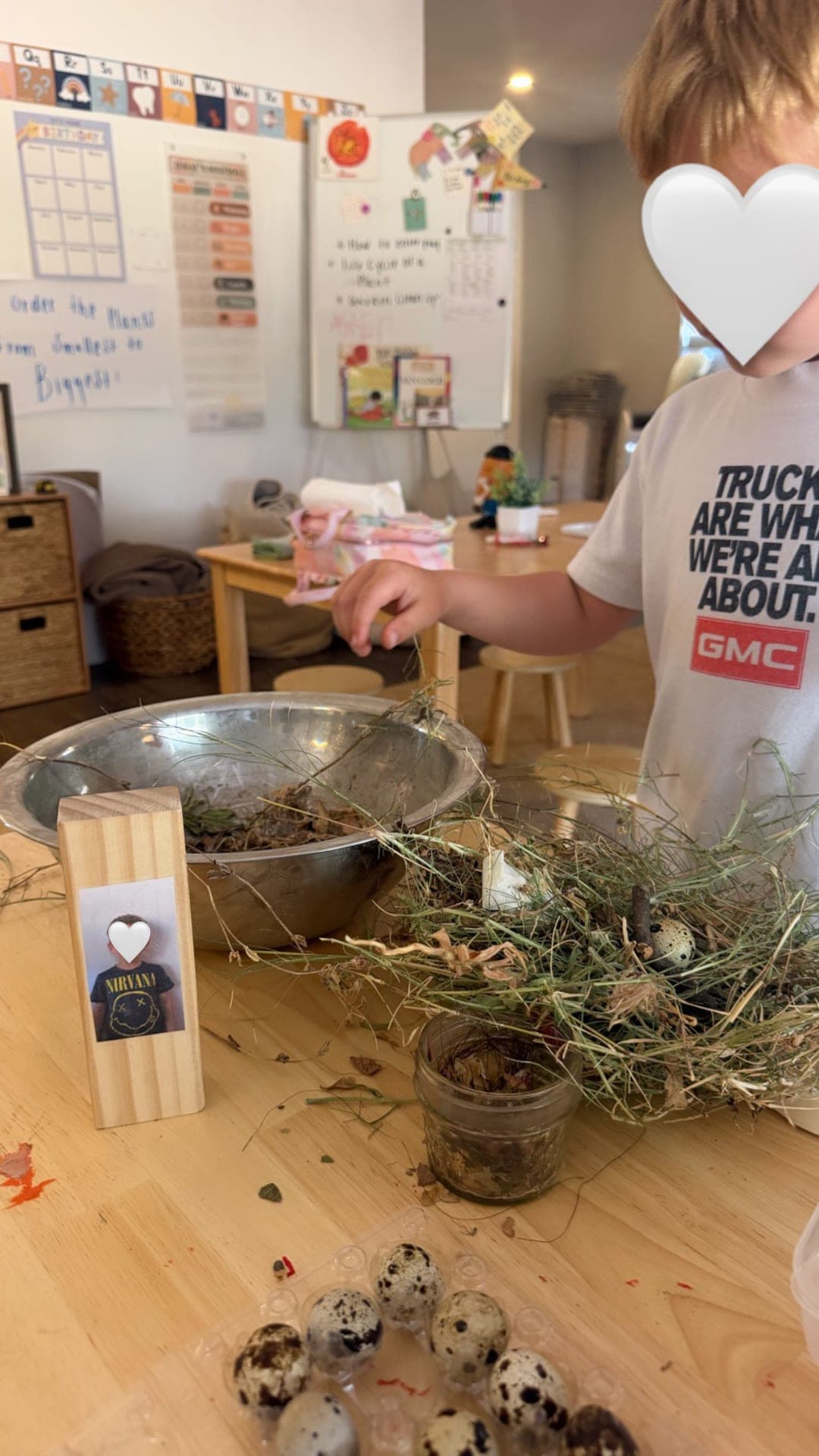 Studying seeds and building a bird's nest from natural materials