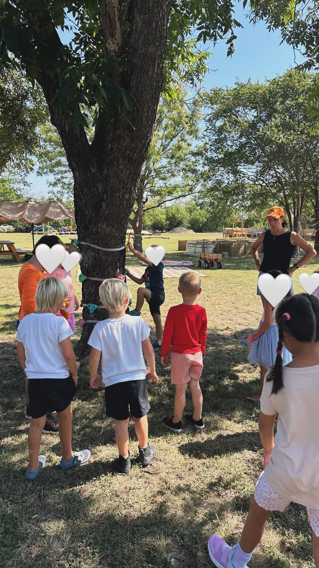 Climbing holds on the tree trunk — taking turns, cheering each other on