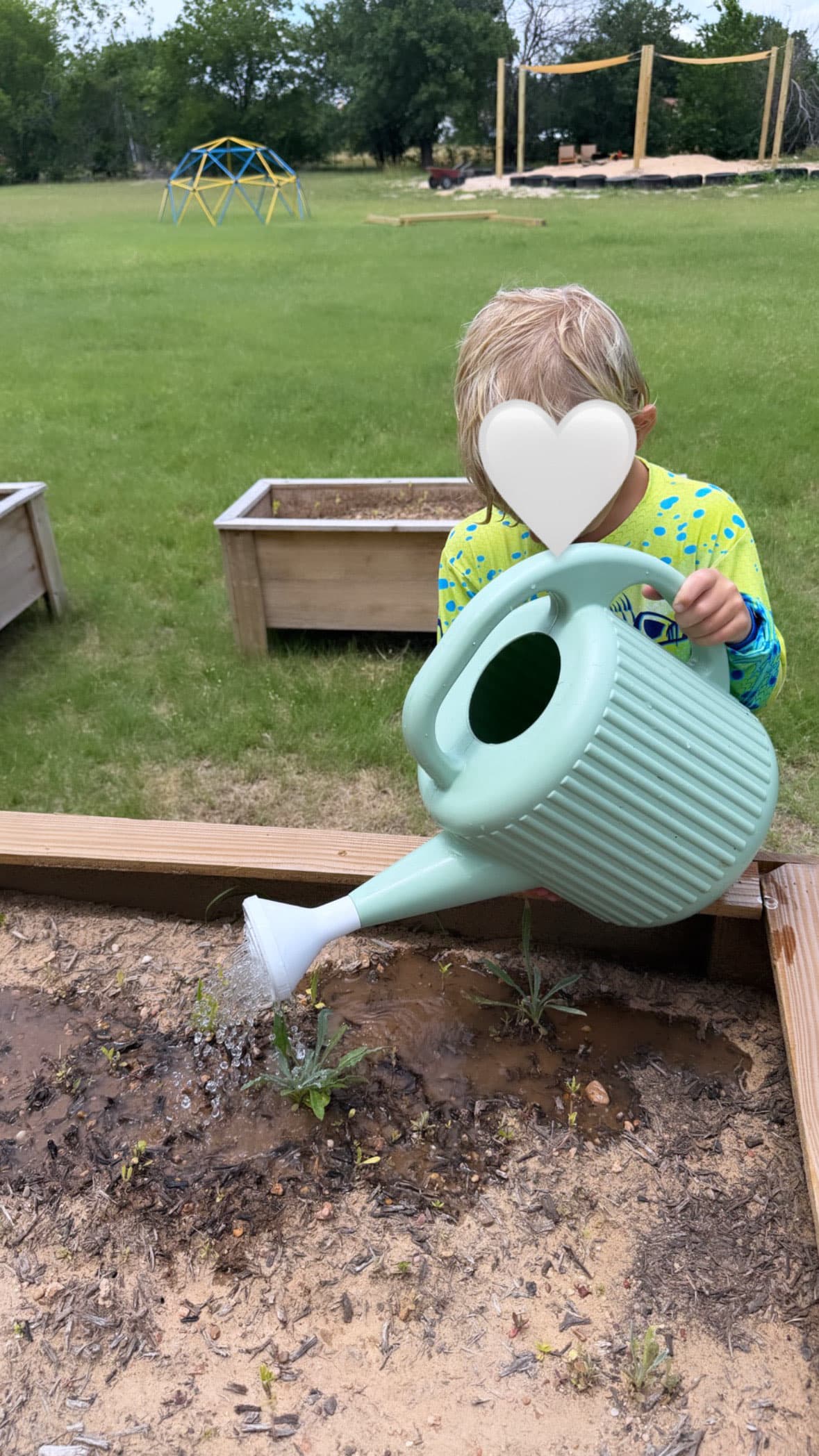 Learning from a delicious flop