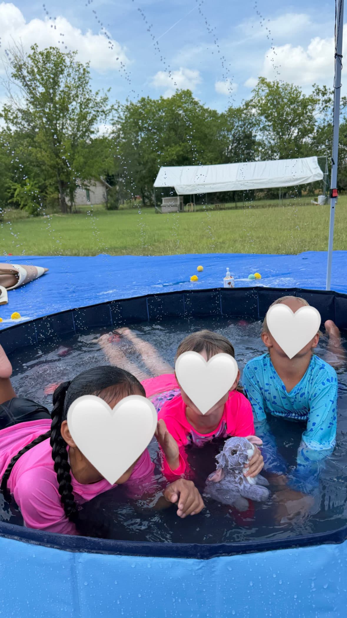 Community and connection growing